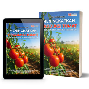 BUKU MONOGRAF MENINGKATKAN PRODUKSI TOMAT: PEMULIAAN, SELEKSI GENETIK, DAN TANTANGAN DI DATARAN RENDAH
